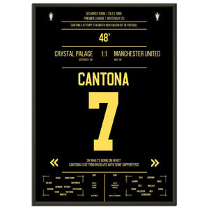 Cantona Kung Fu Tritt im Premier League Spiel ManU - Crystal Palace 1995 